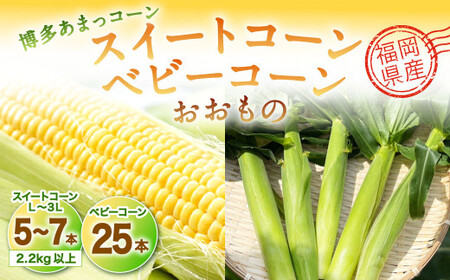 福岡県産 SDGs米糠堆肥で作ったメロンより甘い「博多あまっコーン(おおもの)」2.2kg以上とベビーコーン25本のセット