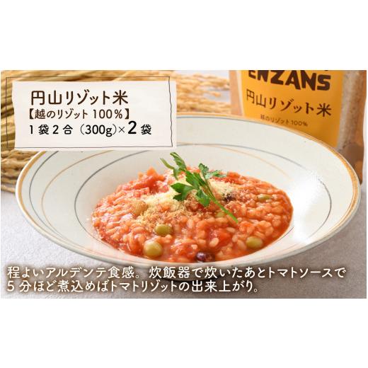 ふるさと納税 福井県 福井市 からだに優しい低GI食品 円山リゾット米 3種セット [A-131001]