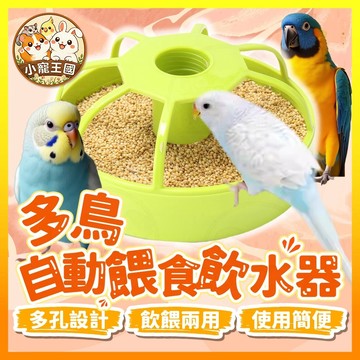 【小寵王國】多鳥用自動餵食飲水器 多孔鳥用食盆 多鳥用餵食器 鳥用水盆 鳥用食盆 自動補水餵食盒 鳥類用品 小寵用品