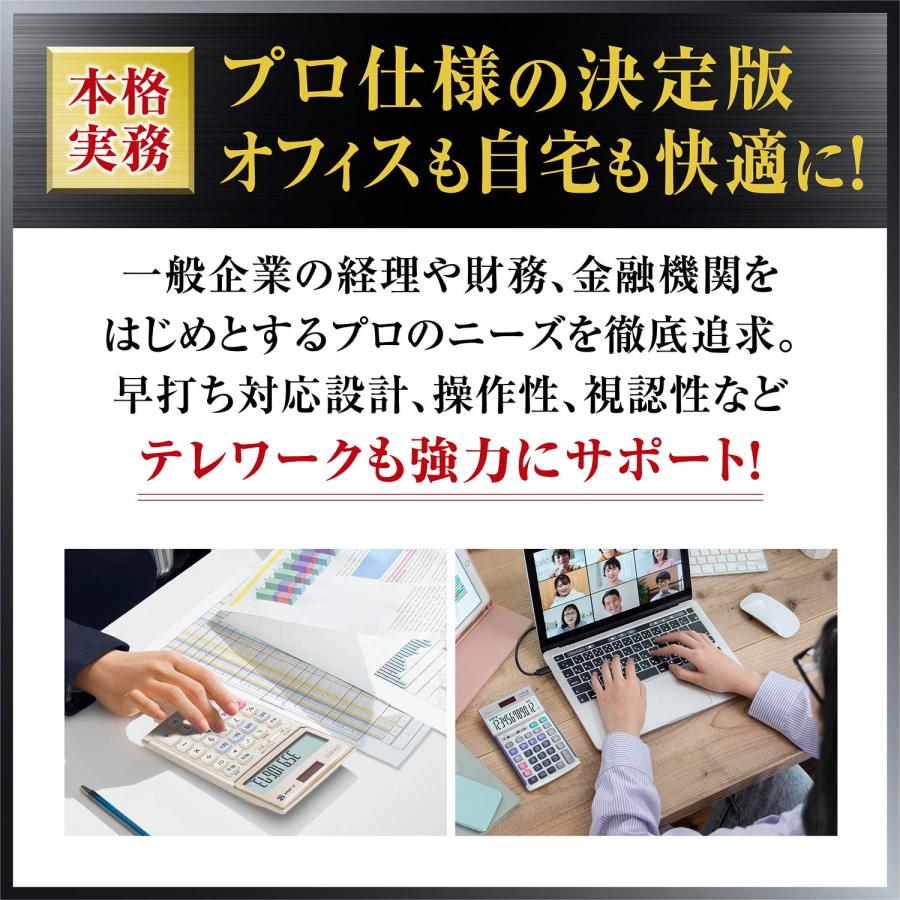 カシオ 本格実務電卓 12桁 日数＆時間計算 グリーン購入法適合 デスクタイプ DS-2DB