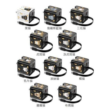 TRON 65W 自帶線急速充電器-黑 達摩貓 電源供應器