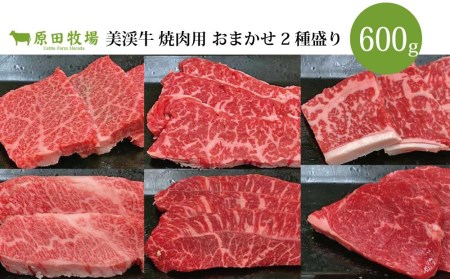 美渓牛 焼肉 おまかせ2種 600g