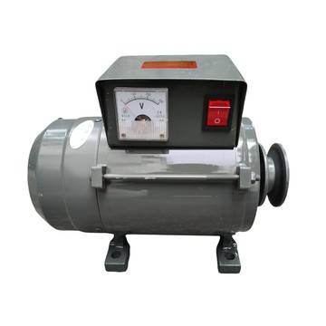 【新店熱銷】220V低轉速永磁無刷發電機帶穩壓器銅線