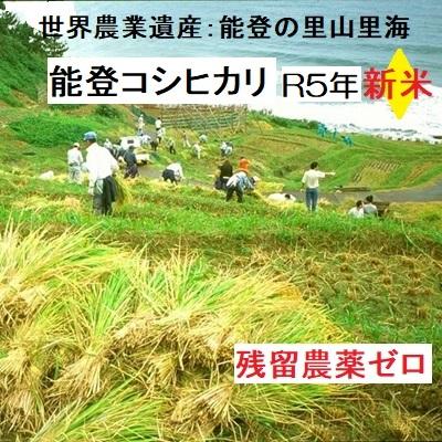 コシヒカリ 令和５年新米 玄米：残留農薬ゼロ(検査証明書付)  30k エコ栽培 能登里山の米