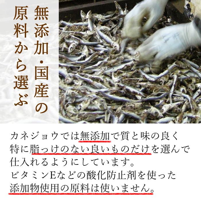 カネジョウ いわし削り 45g×1袋 無添加 食塩不使用 国産 お試し