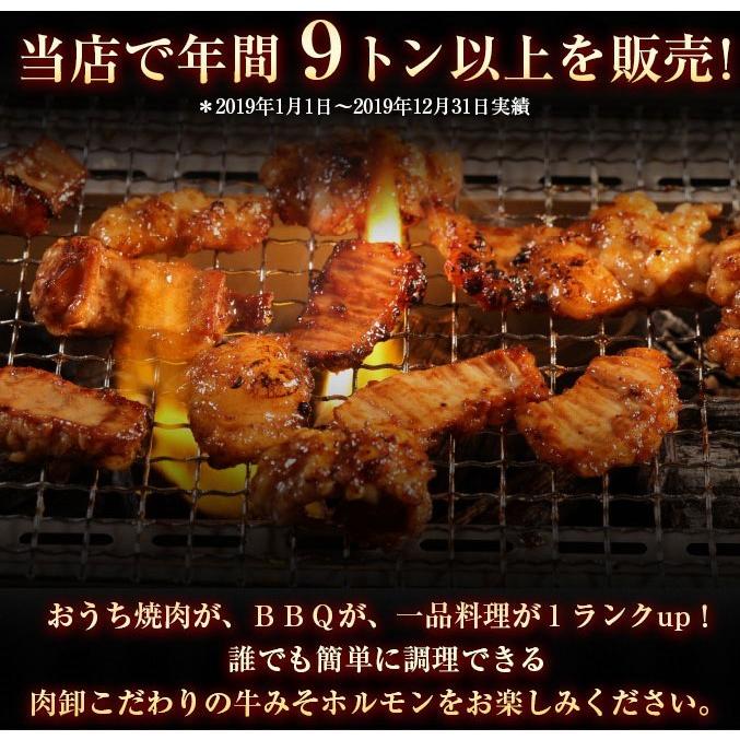 ホルモン 1kg  (500g×2) 訳あり シマチョウ てっちゃん もつ 肉 焼肉 送料無料 お取り寄せ グルメ ギフト 食品 味噌 タレ