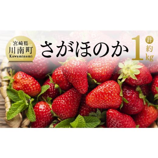 ふるさと納税 宮崎県 川南町  宮崎県産 いちご 「 さがほのか 」 270ｇ×4パック 