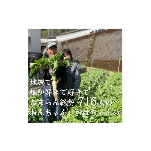 ふるさと納税 高知県 香美市 「定期便」野菜詰め合わせセット6ヵ月