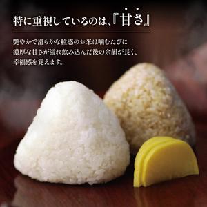 ふるさと納税 令和5年産 十六代目米師又八 謹製 にこまる 10kg×2袋  米 新米 にこまる 精米 にこまる 白米 にこまる 令和5年産 にこまる .. 滋賀県竜王町