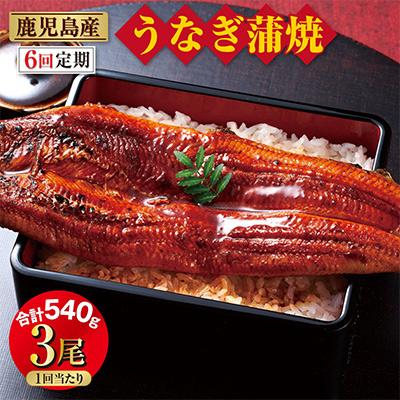 ふるさと納税 鹿屋市 鹿児島産 うなぎ 蒲焼 180g×3尾 2098 (鹿屋市)全6回