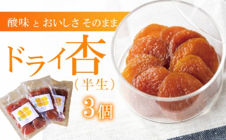 酸味とおいしさそのまま ドライ杏 (半生) 3個