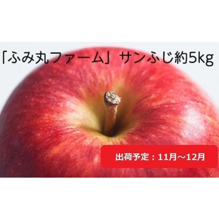 ふるさと納税 11月〜12月発送 ふみ丸ファーム  最高等級「特選」サンふじ 約5kg  青森県弘前市