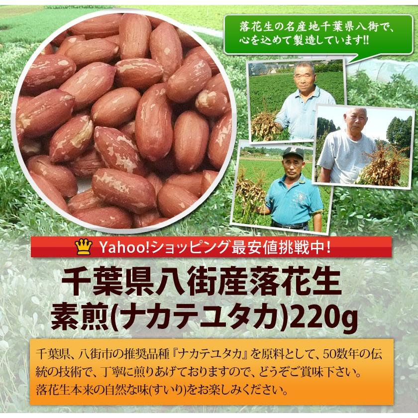 2023年度産 新豆 素煎（ナカテユタカ）220g 千葉県八街産落花生