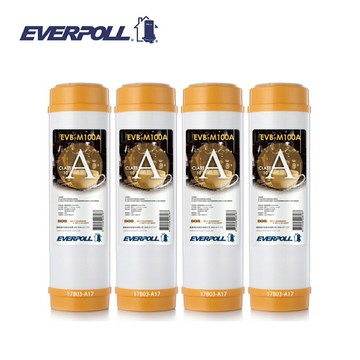 (4支入)EVERPOLL EVB-M100A標準型10英吋道爾樹脂濾芯(白殼)大大淨水