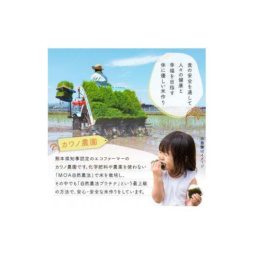 ふるさと納税 熊本県 宇土市 70-262_5　カワノ農園　令和5年産米　無農薬栽培！「森のくまさん」玄米10kg