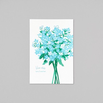 Hakuoshi Botanical 藍星花 明信片