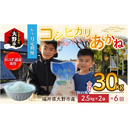 ふるさと納税 福井県 大野市 福井県大野市産 JGAP認証 コシヒカリ「あかね」5kg（2.5kg×2）小分け