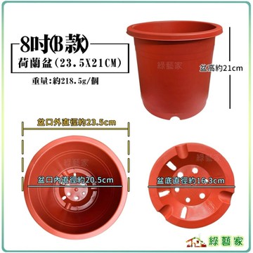 【綠藝家】荷蘭盆(栽培盆)8吋 ※賣場另有其他尺寸※ 盆栽 紅盆 種植盆 花盆 紅色圓盆 塑膠花盆