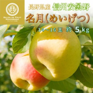 [予約 10月10日-11月30日の納品]  名月 約5kg 14-16玉 大玉 長野県産 安曇野産 化粧箱 幻の 蜜入り 林檎用 上級品 りんご　 冬ギフト お