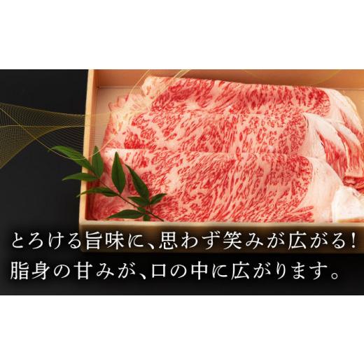 ふるさと納税 長崎県 波佐見町 ロース スライス 400g 長崎和牛 A4〜A5ランク しゃぶしゃぶ すき焼き [VF07]