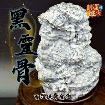 【台灣現貨】龍宮 舍利 黑靈骨 龍戲珠 精品 擺件 礦石 轉運 開運 招 財 好運 靈招 人緣 桃花