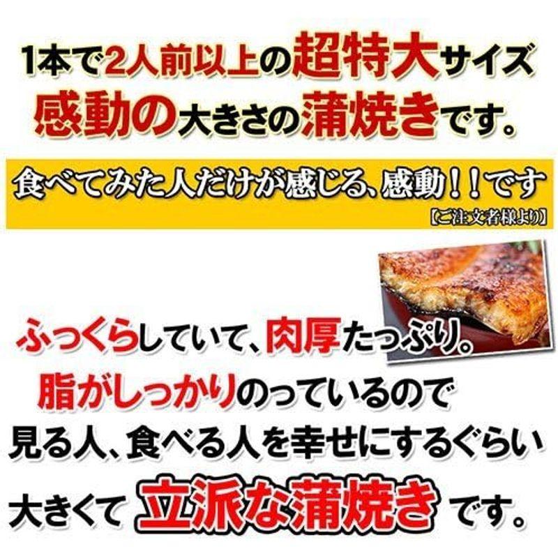 うなぎ屋かわすい 肉厚タップリ 超特大サイズ 国産うなぎ 蒲焼 3本セット（１本２００ｇ-２２９ｇ、タレ付き 山椒別売り）ギフト 贈り物