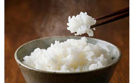定期便 特別栽培米 コシヒカリ 白米 5kg×1×6回 総計30kg [農家にしの 石川県 宝達志水町 38600638]米 お米 ご飯 ごはん