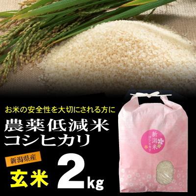 玄米 農薬低減米 コシヒカリ 2kg 米 お米   低農薬 新潟 岩船産 令和5年産 新米   人気 おいしい 新潟米 こしひかり 送料無料