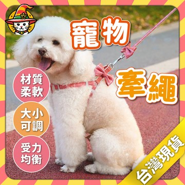 格子胸背帶牽引繩 格子背帶 格子蝴蝶結 胸背帶繩 牽繩 牽引繩 拉繩 胸背帶 寵物用品