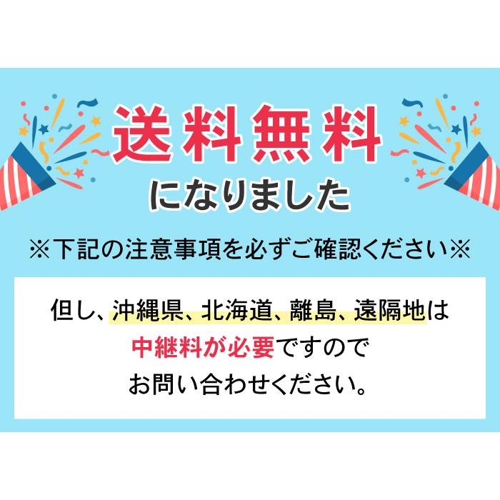 馬印 ホワイトボード JFEホーロー 壁掛 掲示板 MR22W