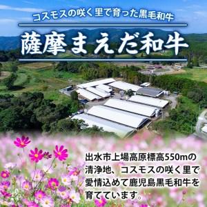 ふるさと納税 i373 出水市産薩摩まえだ和牛サーロインステーキ計400g(200g×2枚)鹿児島県産黒毛和牛！とろけるような口どけと霜降りの多さ.. 鹿児島県出水市