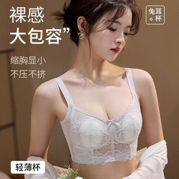【新款上市】蕾絲內衣女 大胸顯小 蕾絲 防下垂 收副乳 無痕薄款 兔耳朵 提拉 上託聚攏文胸 輕薄網紗透氣內衣