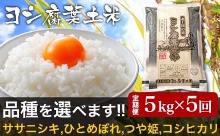 令和5年産＜定期便＞ヨシ腐葉土米 精米25kg（5kg×5回発送）コシヒカリ