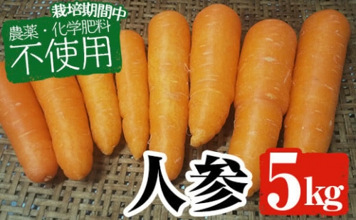 y220 《期間限定》農薬化学肥料を使用せずに育てた国産にんじん5kg