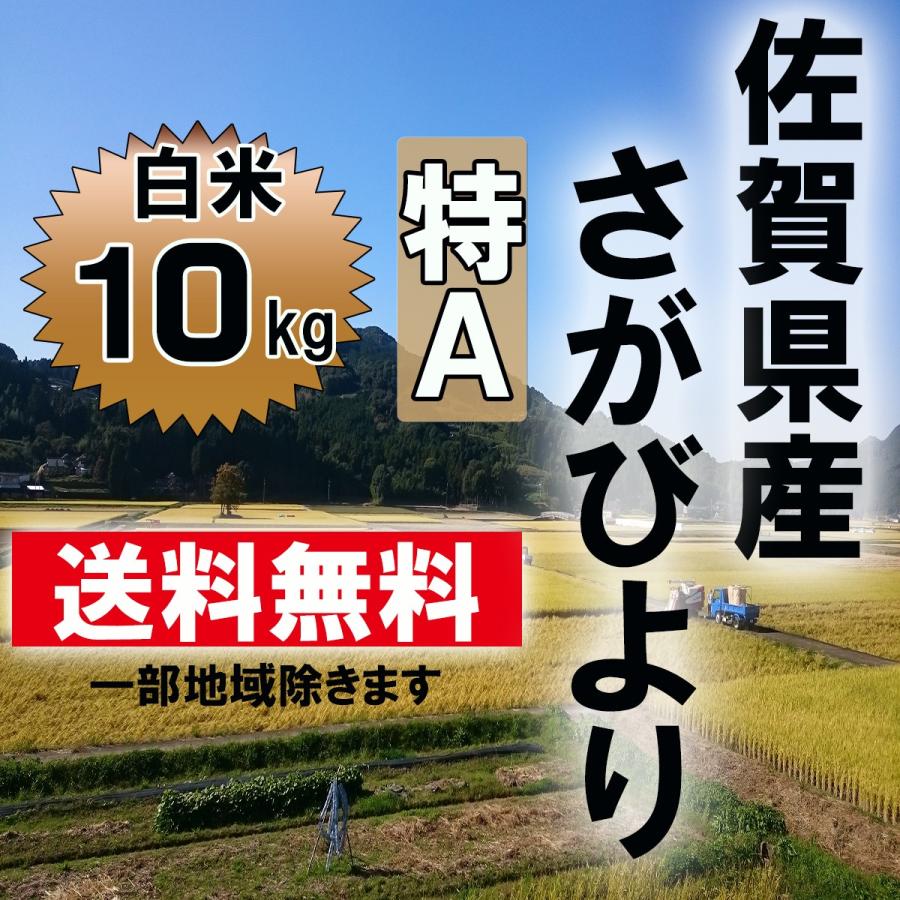 　佐賀県産　さがびより　白米１０ｋｇ  送料無料　13年連続特A受賞米