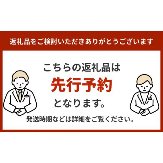 ふるさと納税 沖縄県 うるま市 仲村農園の最高級贈答用完熟アップルマンゴー約1Kg 最高級　贈答用　アン…