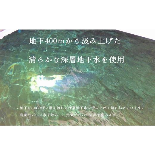 ふるさと納税 山梨県 甲斐市 ワインたまご定期便　[山梨 卵 ワインたまご 定期便]