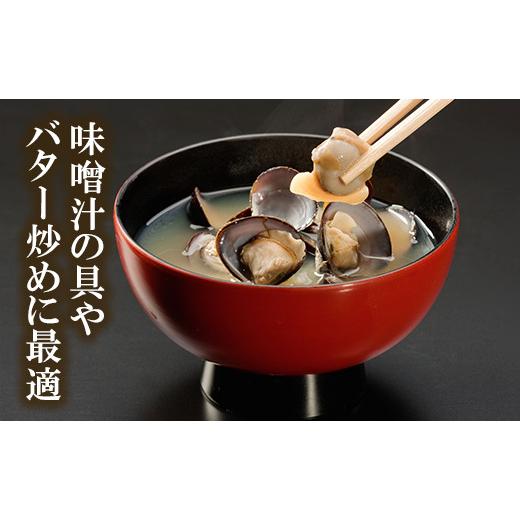 ふるさと納税 茨城県 大洗町 涸沼産 大粒 冷凍 シジミ 3.2kg （400ｇ×8袋） しじみ 蜆 大和しじみ ヤマトシジミ 大玉 砂抜き済 冷凍 味噌汁 スープ 魚貝類 貝…