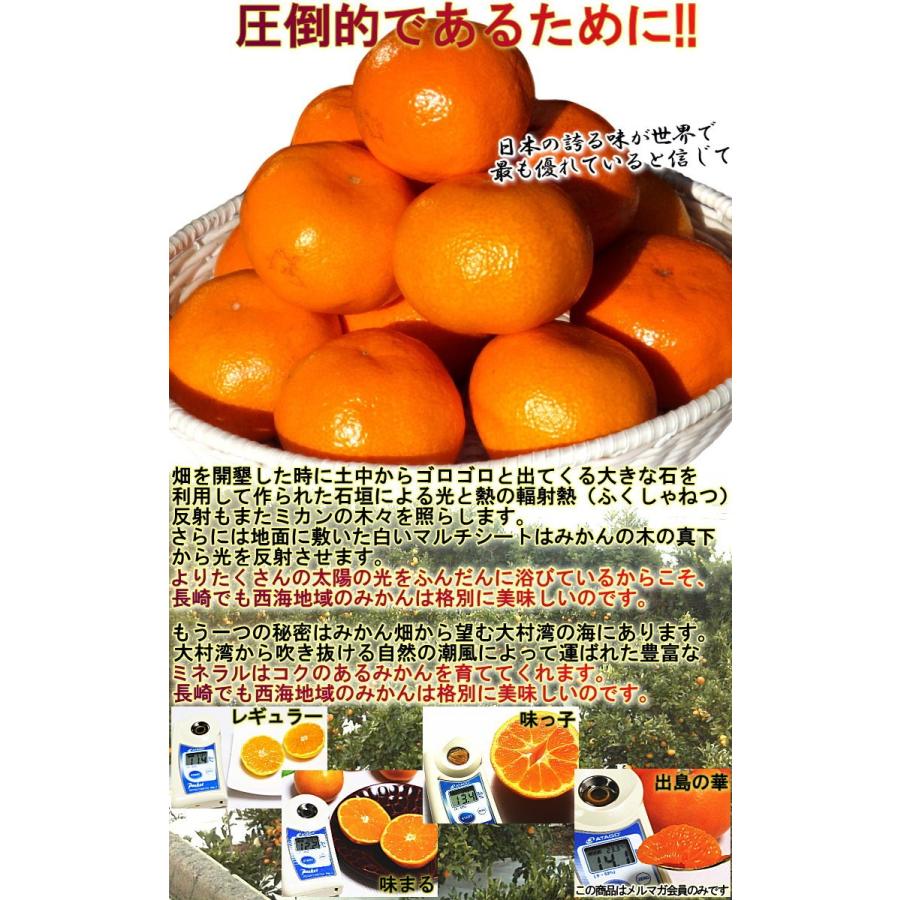 味まる蜜柑 約5kg 長崎県産 秀品限定 贈答規格 JAながさき西海 光センサー選果で糖度12度保障！長崎県が誇るブランド果物、西海みかん