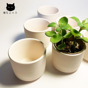 貓宅小日子 室內裝飾 高透氣 多肉仙人掌 素白陶花盆