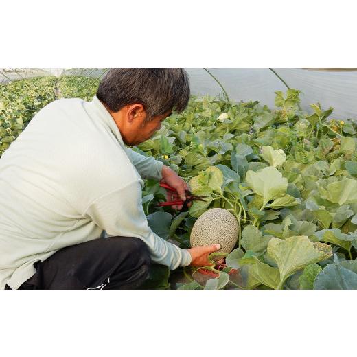 ふるさと納税 熊本県 菊池市 つるたファームから旬のお届け便 Green(自然栽培米 5kg・肥後グリーンメロン 2玉)