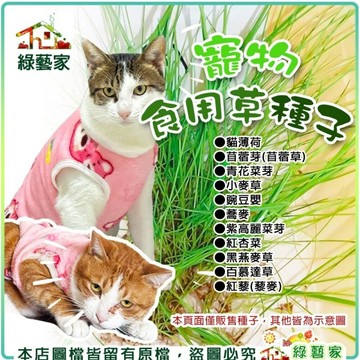 【綠藝家】寵物食用草系列種子│貓草 生菜 種子 苜蓿草 黑麥草 黑燕麥 小麥草 百慕達草