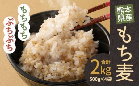 熊本県産 もち麦 2kg 500g×4袋