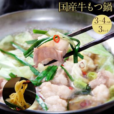 ふるさと納税 古賀市 「鶏家」の特選もつ鍋セット(3〜4人前×3セット)