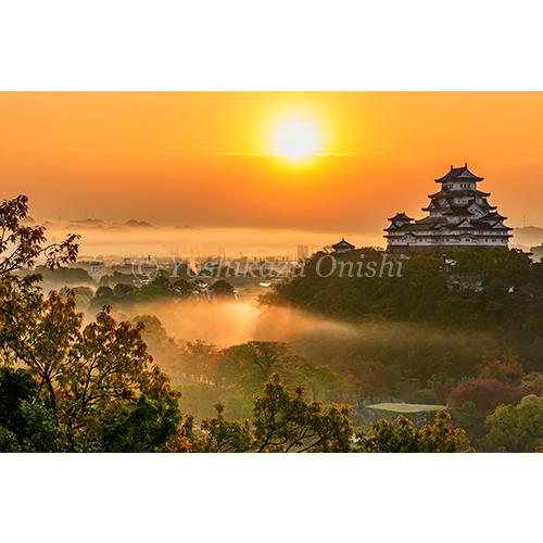 絶景姫路城 世界文化遺産・国宝 大西義和 写真