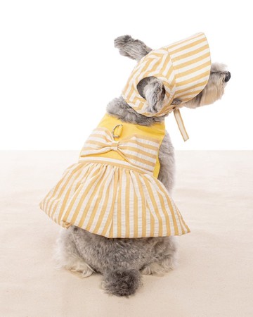 預購-比基尼造型 夏日條紋系列 黃白條紋棉麻料  胸背衣+遮陽帽