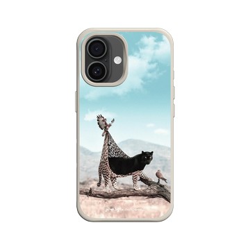 iPhone 16 SolidX 貝殼灰 - Julien Tabet - The Molt