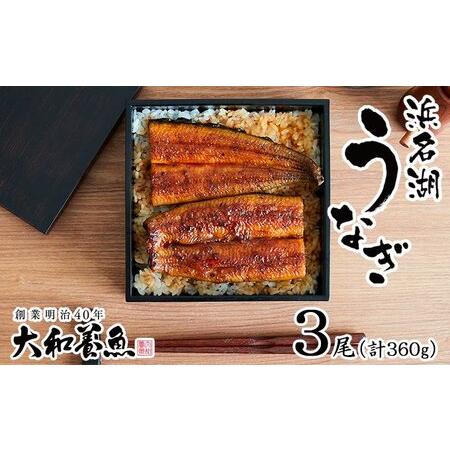 ふるさと納税 浜名湖うなぎ蒲焼 120g×3尾（計360g） 真空パック 冷蔵  静岡県浜松市