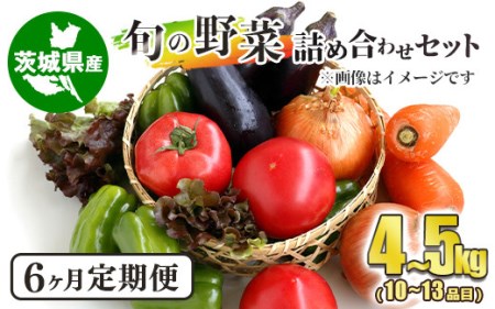 旬の野菜詰め合わせセット 隔月6ヶ月 10～13品目 4～5kg