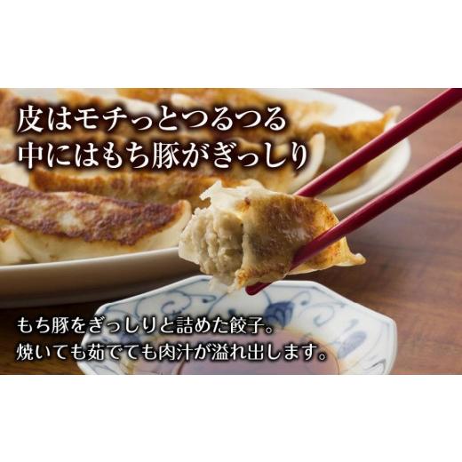 ふるさと納税 新潟県 南魚沼市 ES498 和豚 もちぶた 手作り餃子 10個入り×4袋 計40個 ぎょうざ ギョウザ 冷凍 国産 豚肉 ポーク 簡単 国産野菜 お惣菜 おつま…